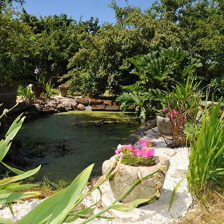הוילה Conteville  Le Bois Des Pierres מראה חיצוני תמונה